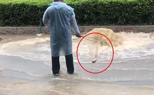 輸送帶廠家：廣州雨后內(nèi)澇嚴(yán)重，路人當(dāng)街捕魚