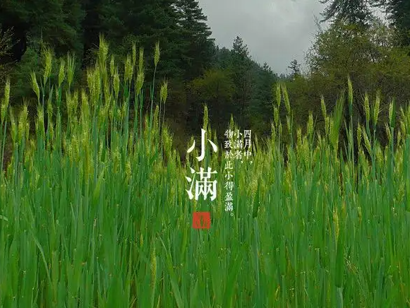 今日小滿，擎川與你一起靜待美滿！